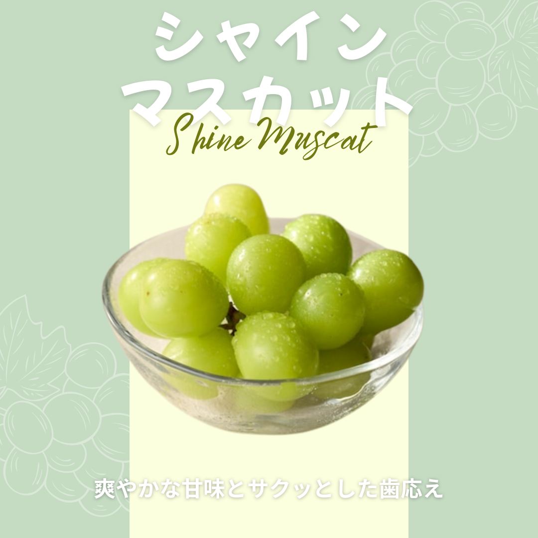 【ゆいマーケット】冷凍国産フルーツ シャインマスカット 500gパック