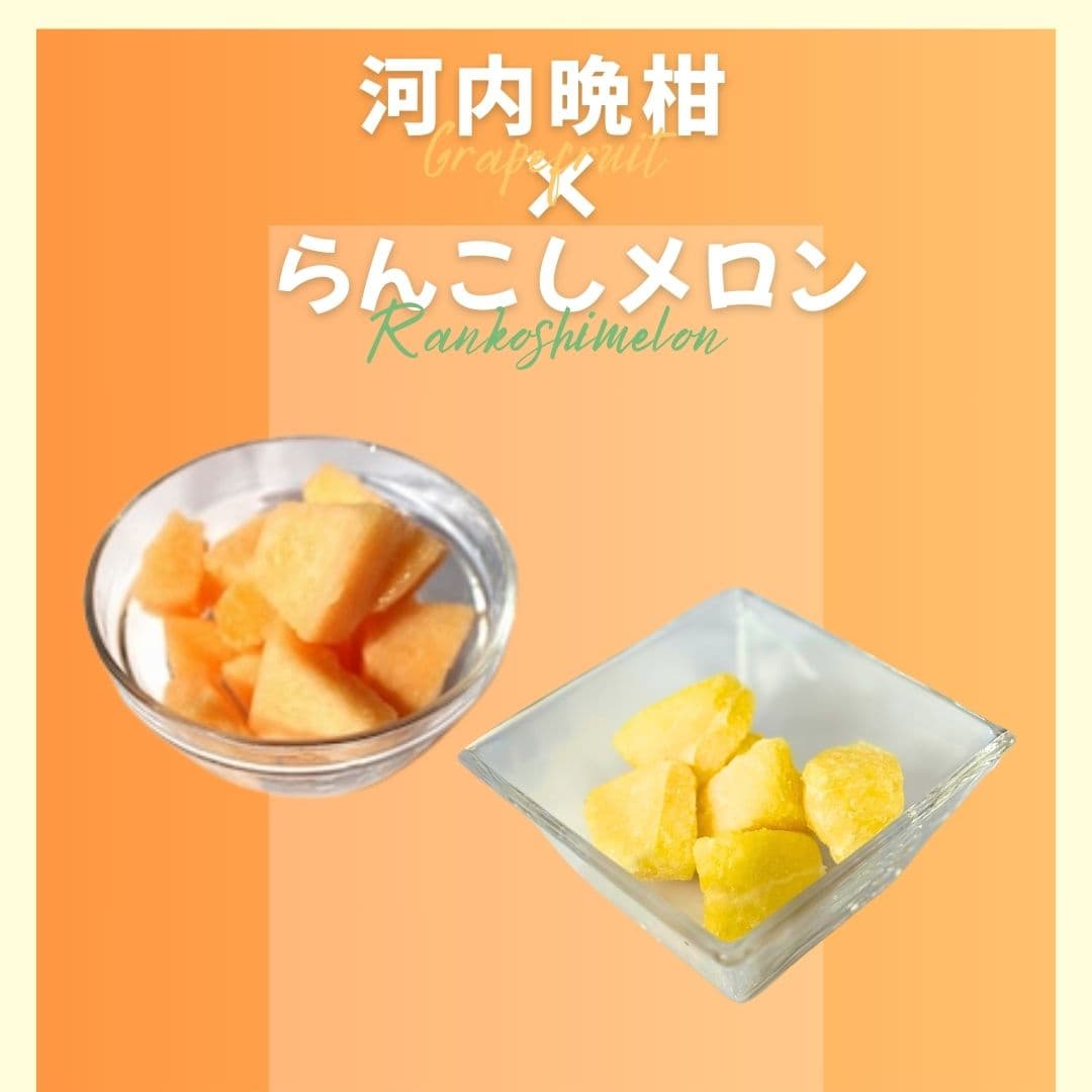 【ゆいマーケット】冷凍国産フルーツ 河内晩柑 500gパック × らんこしメロン 500gパック