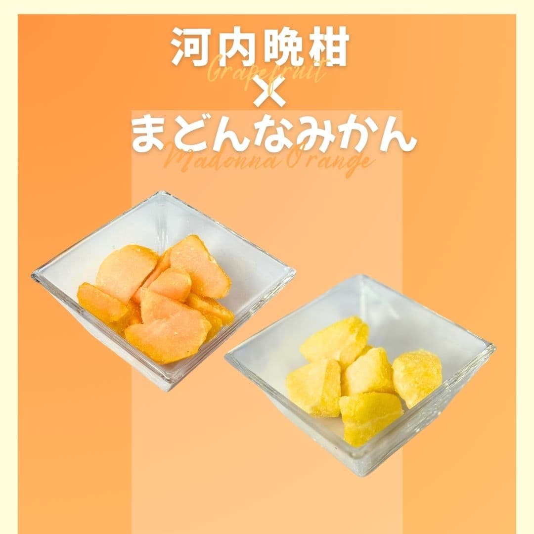 【ゆいマーケット】冷凍国産フルーツ 河内晩柑 500gパック × まどんなみかん 500gパック