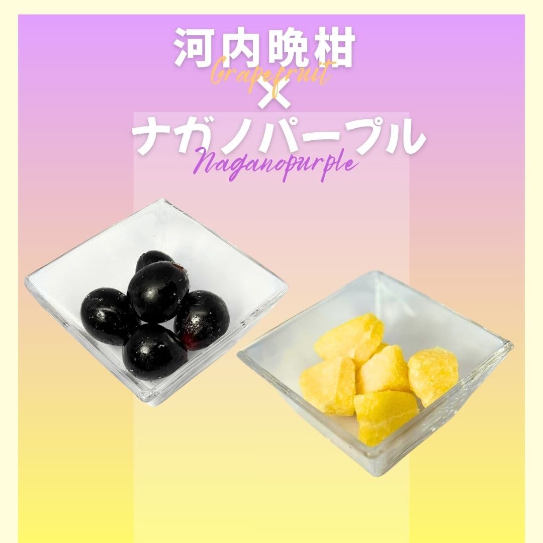 【ゆいマーケット】冷凍国産フルーツ 河内晩柑 500gパック × ナガノパープル 500gパック