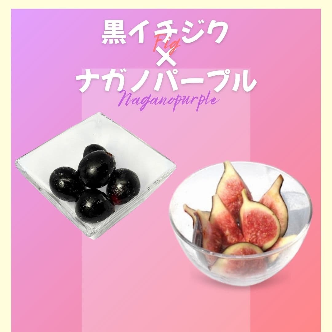 【ゆいマーケット】冷凍国産フルーツ 黒イチジク 500gパック × ナガノパープル 500gパック