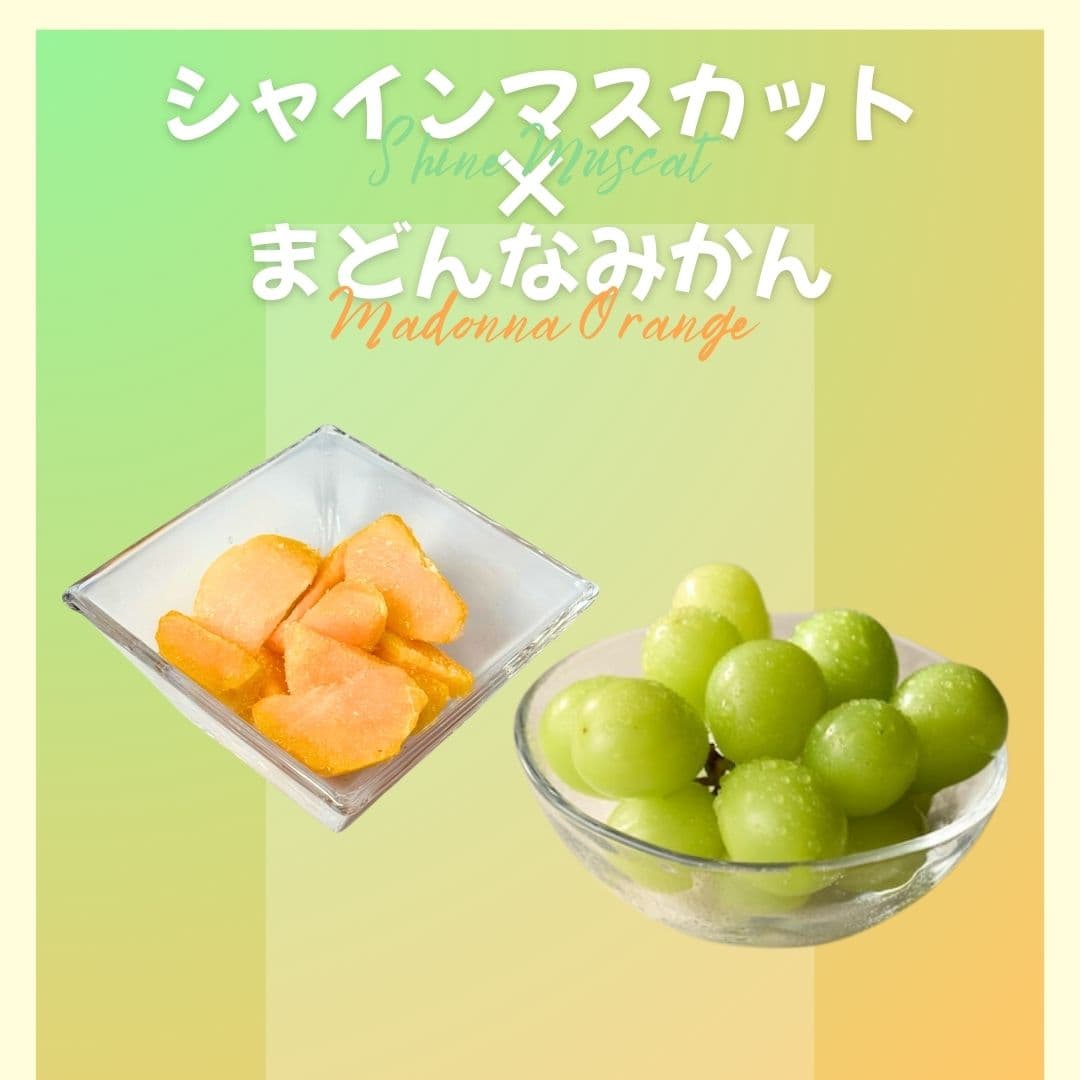 【ゆいマーケット】冷凍国産フルーツ シャインマスカット 500gパック × まどんなみかん 500gパック