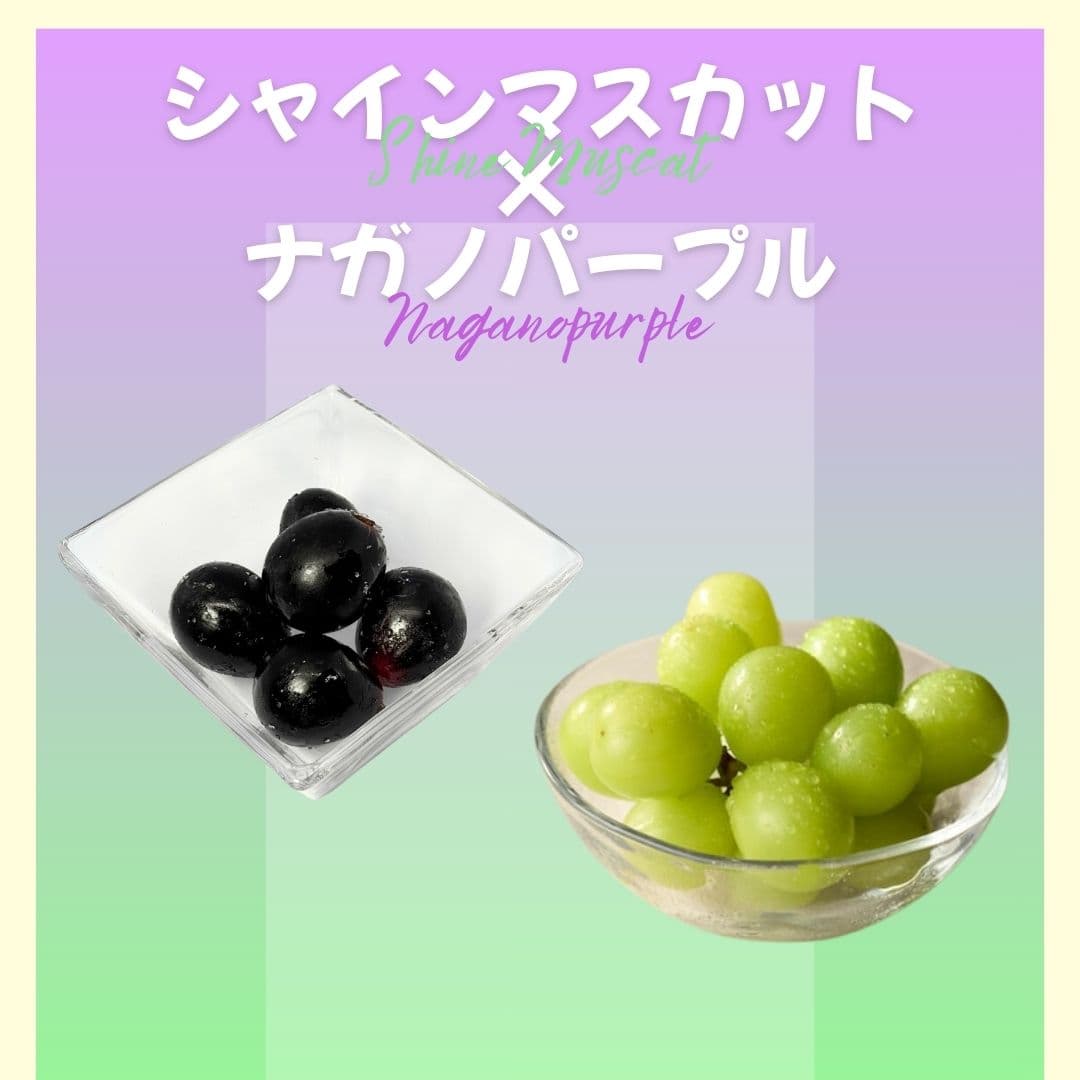 【ゆいマーケット】冷凍国産フルーツ シャインマスカット 500gパック × ナガノパープル 500gパック