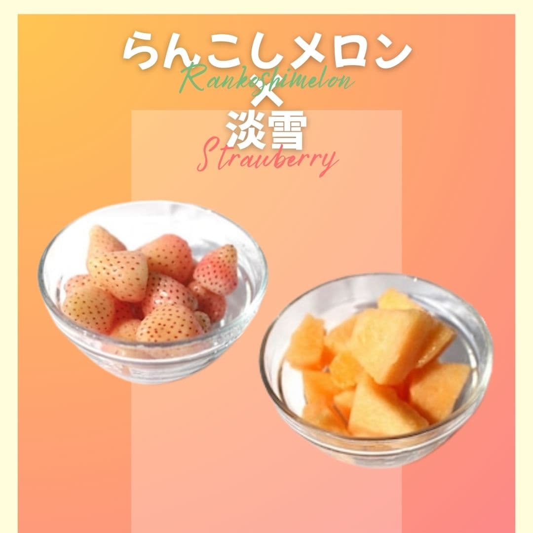 【ゆいマーケット】冷凍国産フルーツ らんこしメロン 500gパック × 淡雪 500gパック