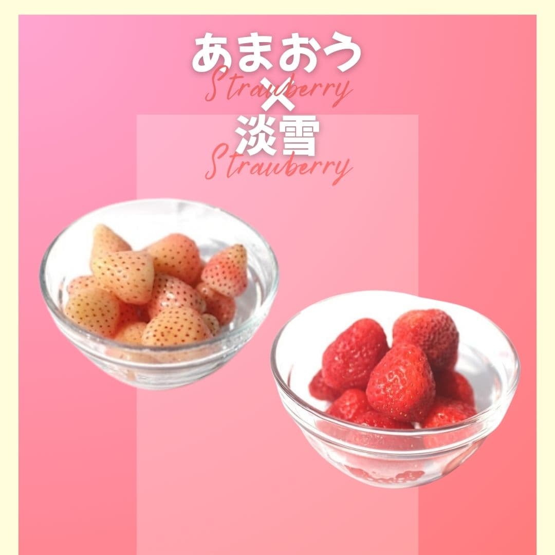 【ゆいマーケット】冷凍国産フルーツ あまおう 500gパック × 淡雪 500gパック